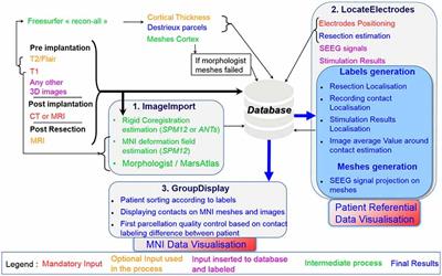 IntrAnat Electrodes: A Free Database and Visualization Software for Intracranial Electroencephalographic Data Processed for Case and Group Studies